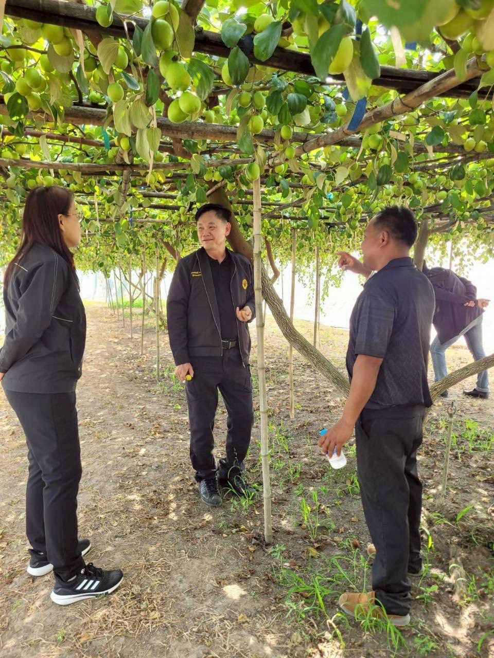 title - ผู้ตรวจราชการกรม ประชุมติดตามผลการดำเนินงานตามแผนการตรวจราชการของ ส.ป.ก. ประจำปีงบประมาณ พ.ศ. 2569 รอบที่ 1 จังหวัดพิจิตร